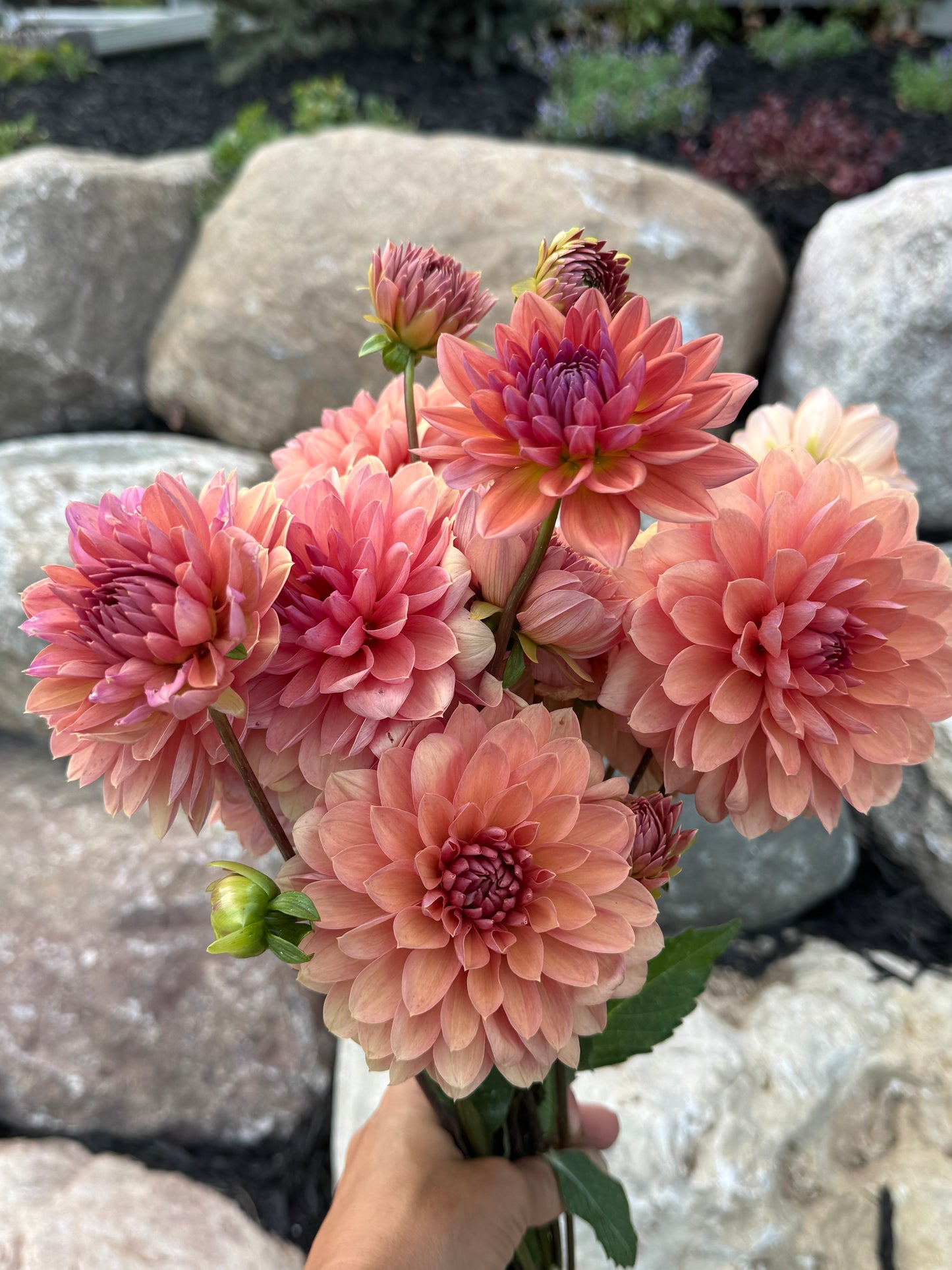 Chateau De La Bourdaisiere